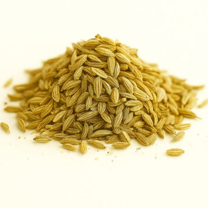 Spices: Fennel Seeds