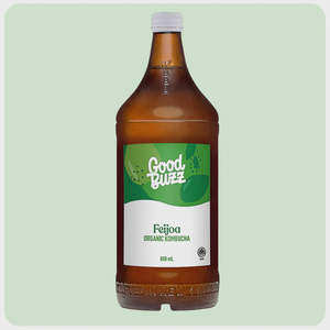 Good Buzz | Kombucha Feijoa / 888ml