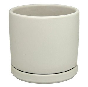 Gifts Bouquets: Sara Pot 15cm