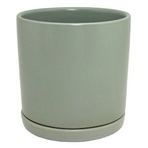 Bundable App Updated: Sage 15cm pot