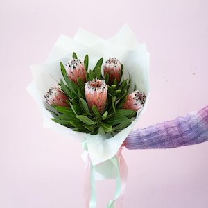 Mothers Day 2024: Proteas For Mum