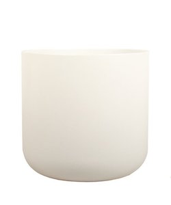 Ivy Cream ceramic pot