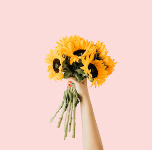 Pretty Petaly Things: THE SUNFLOWERS