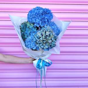 Pretty Petaly Things: THE HYDYS