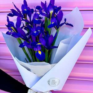Seasonal Special: IRISES