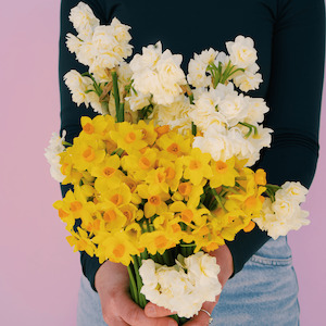 Seasonal Special: Daffodils