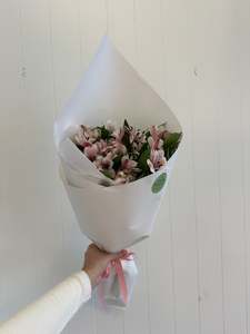 Alstroemeria Special!