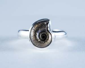 Ammonite Pyrite Sterling Silver Ring Size 6 (S613)