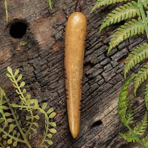 Specials: NZ Greenstone Large Freeform Niho Taniwha Tooth Pendant (BW390) Flower Jade Pounamu