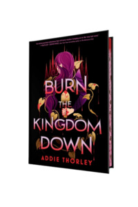 Pre Order Now: Burn the Kingdom Down | Sprayed Edge Hardback