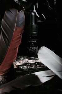 Products: Wild Wind Ritual Oil