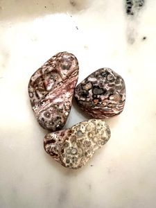 Leopard Skin Jasper