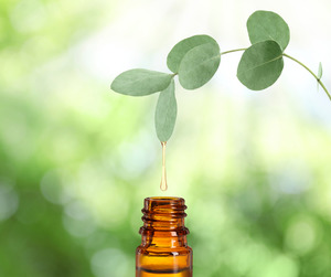 Products: Peppermint, Eucalyptus & Frankincense Essential Oil 10ml