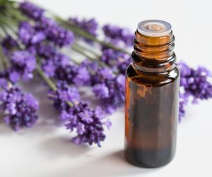 Products: Cedarwood & Lavender Calming Pet Essential Oil (Pet calming) 10ml