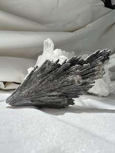 Products: Fans Of Natural Black Kyanite - The Hidden Gem