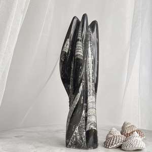 Fossils: Orthoceras tower - The Hidden Gem