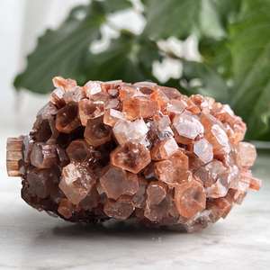 Aragonite - The Hidden Gem