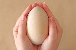 Diy: Wooden Kiwi Egg - DIY