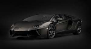 Models: Pocher c1/8 Kit: Aventador R/ster Blk