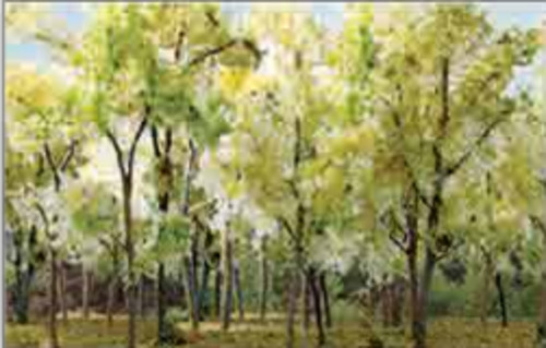 Model Scenery: JTT Wood Edge Trees Beige Green(9)