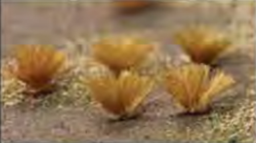 Model Scenery: JTT Wild Grass (48)