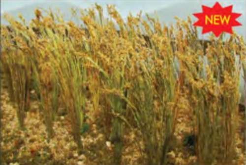 Model Scenery: JTT Wheat 2" (40)