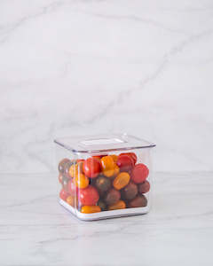 Fridge: Fridge Container with Drainage S