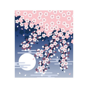 Cleaning: Nawrap Dishcloth Moon & Cherry Blossoms