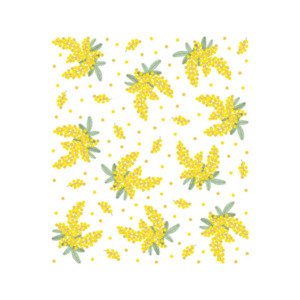 Cleaning: Nawrap Dishcloth Mimosa