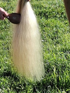 1: Elite Conditioning Treatment