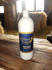 1: Dark Shine Shampoo