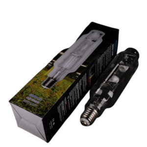 Lighting: MH Conversion Bulb 600W
