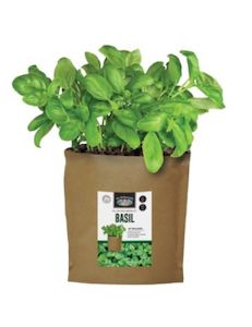 Propagation: Basil - Grow Pouch Kit