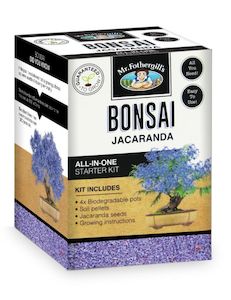 Seeds: Bonsai Starter Kit - Jacaranda