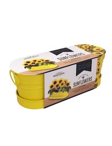 Seeds: Sunflower - Windowsill Tin