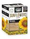 Giant Sunflower Starter Kit