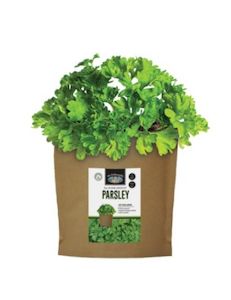 Seeds: Parsley - Grow Pouch Kit