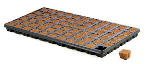 Latest Arrivals: Eazy Plug CT66 Tray