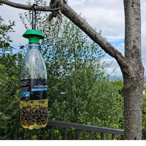 Latest Arrivals: Reusable Outdoor Fly Trap