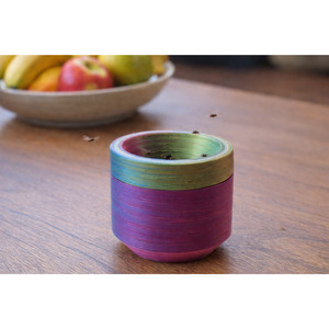 Latest Arrivals: Indoor Reusable Fruit Fly Trap – NZ-Made & Chemical-Free