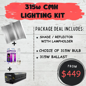 CMH 315w Lighting Kit