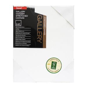 Display Surface Supplies: Jasart Gallery 1.5 Inch Thick Edge Canvases Pack of 6