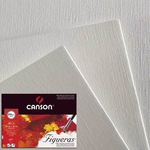 Display Surface Supplies: Canson Figueras 65x100cm 290gsm Paper Pack of 12 Sheets