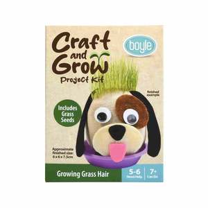 Kids Art Craft Learning: Boyle Craft & Grow Project Growing Grass Hair