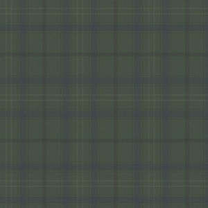 Geometric Wallpaper: Check It Out Wallpaper - Green Duck