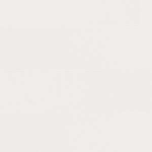 Versace: Sample -Versace Home Wallpaper - White