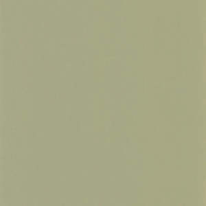 Orange: Pigments Wallpaper - Argile Verte