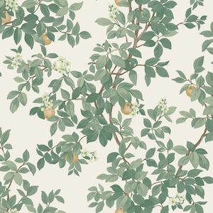 Instock Wallpaper: Orange Tree - Wallpaper - Cream Green