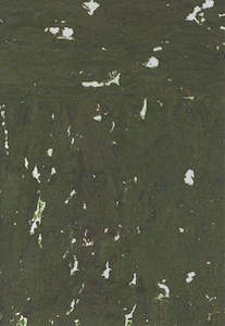Lasmin Cork Metallic Wallpaper - Forest Green