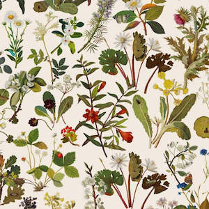 White Wallpaper: Herbarium Hybrid Mural Wallpaper - House of Hackney - Ecru